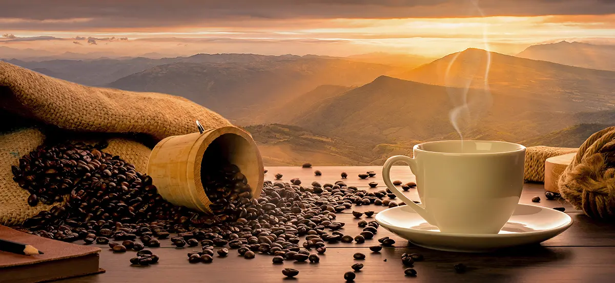 Die Unterschiede zwischen Kaffee und Espresso