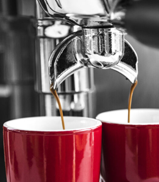 Kaffeselskabet Crown Espresso Machine 1AL Caffè Italia